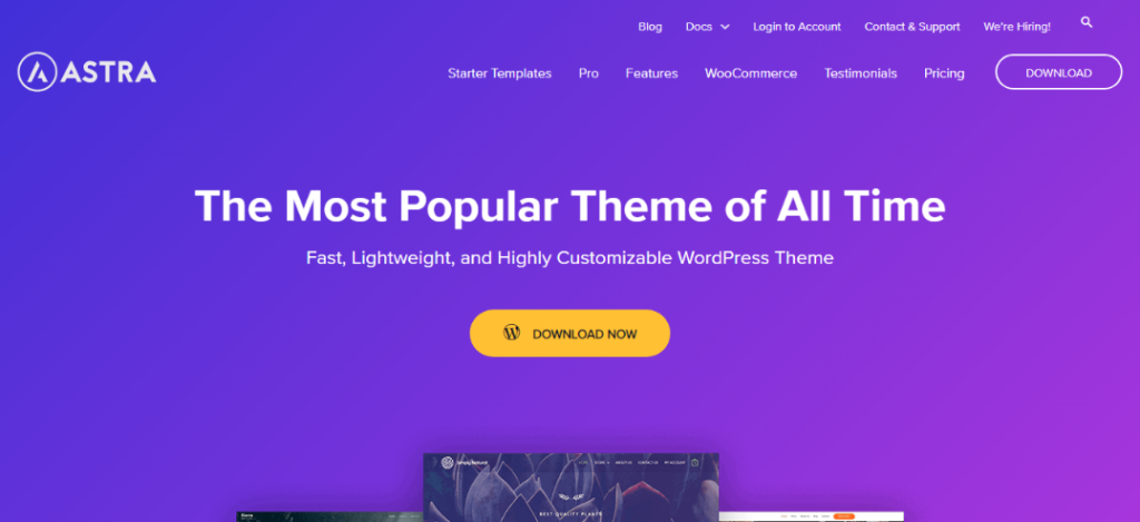 Astra-Consulting-Theme