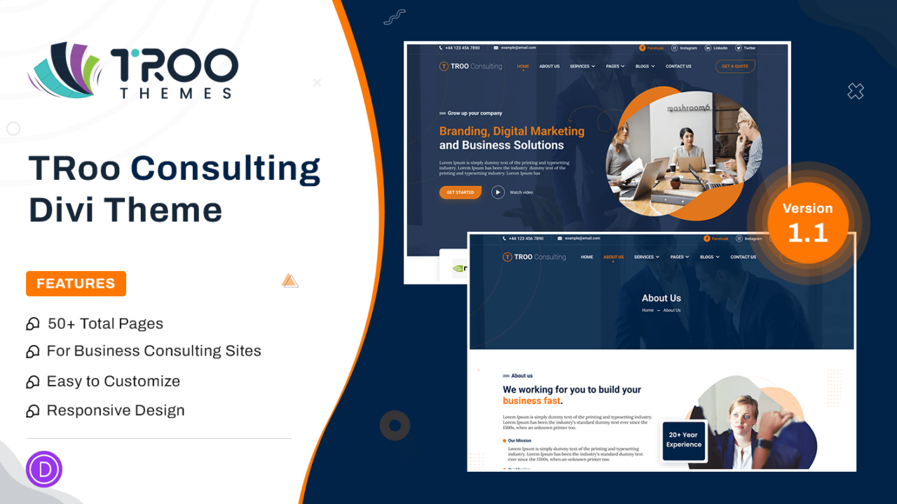 TRoo Consulting Divi Theme-V1.1